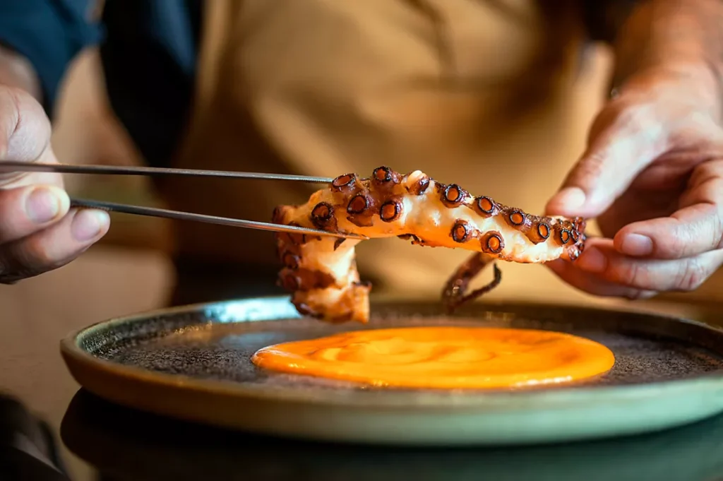 aja p 6496 83 1 3by2